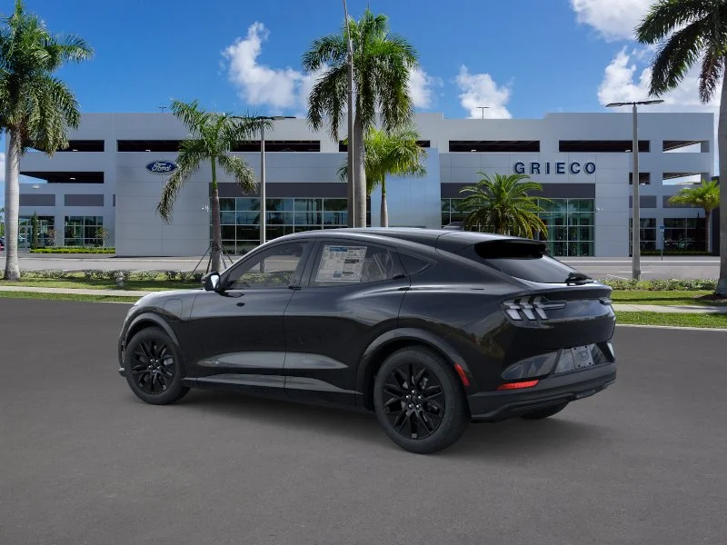 New 2026 Shadow Black Ford Premium image 27