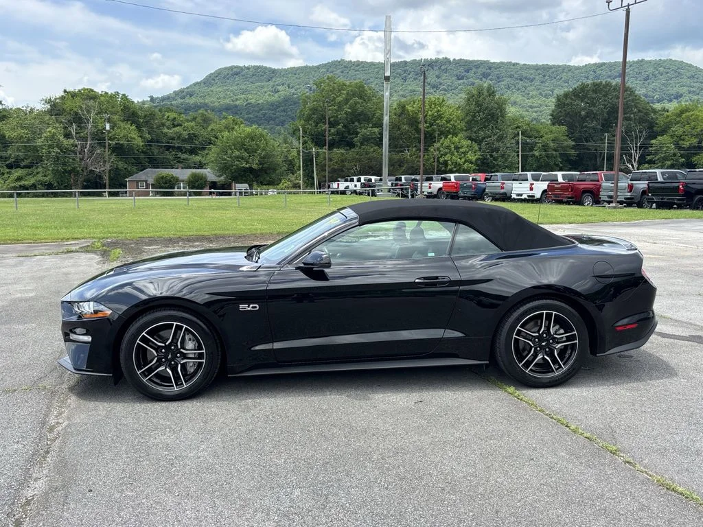 Used 2019 Black Ford GT Premium image 6