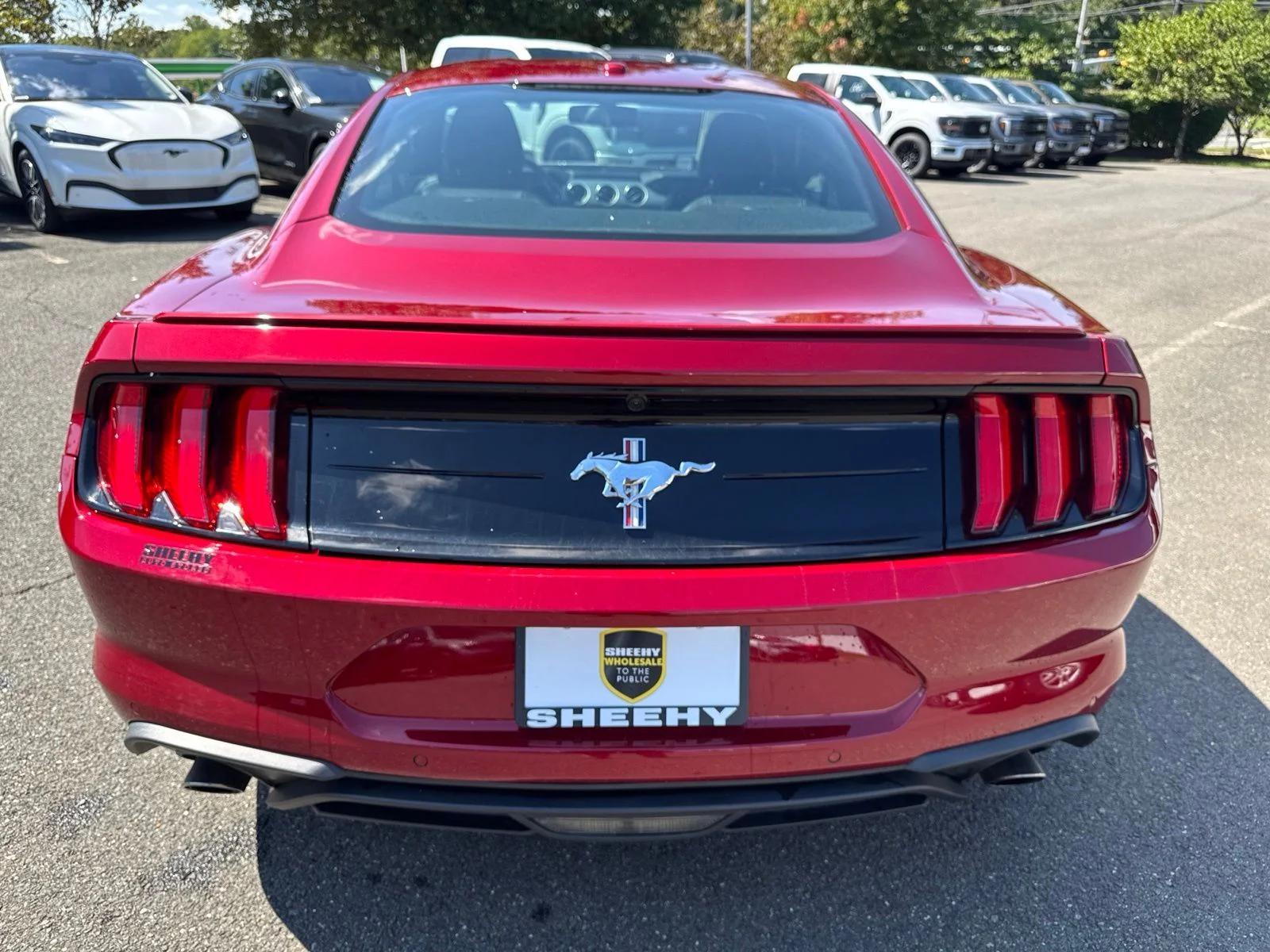 Used 2018 Red Ford EcoBoost Premium image 13