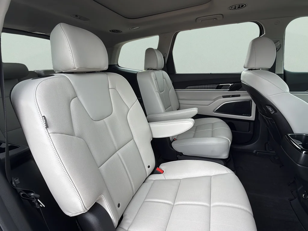 Certified Used 2025 Panthera Metal Kia SX image 22