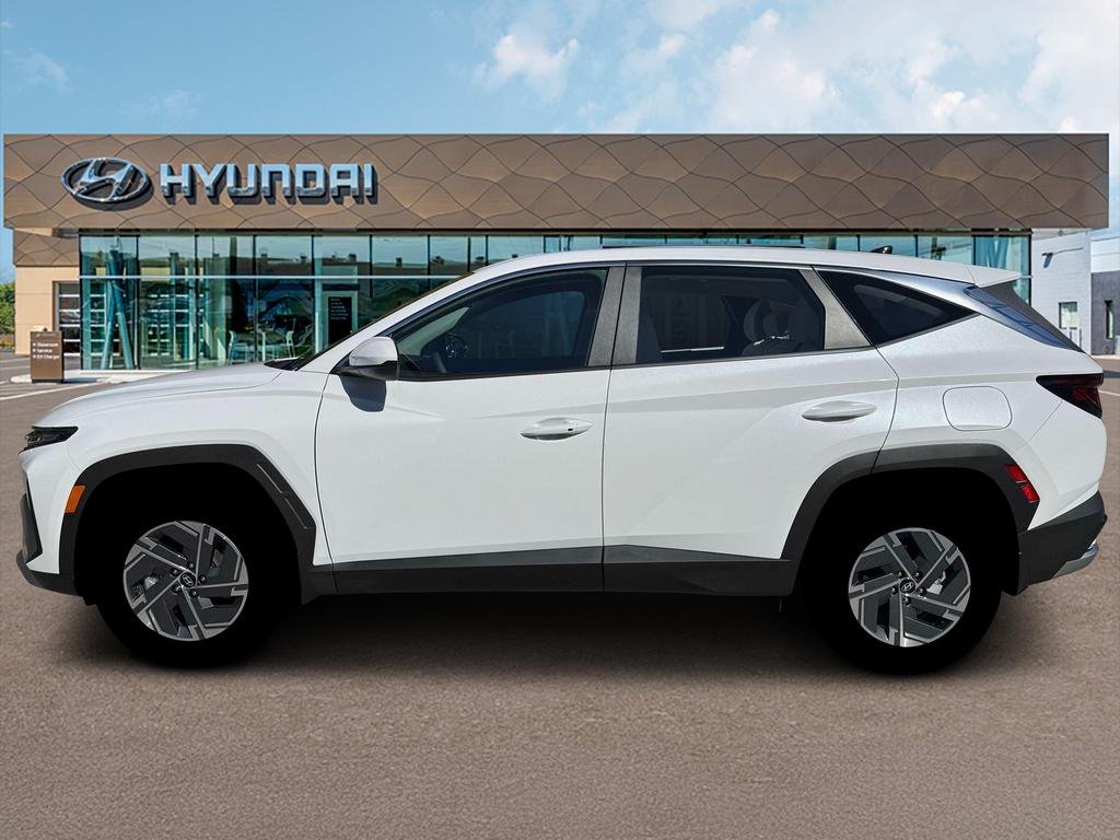 New 2026 Creamy White Pearl Hyundai Blue image 3