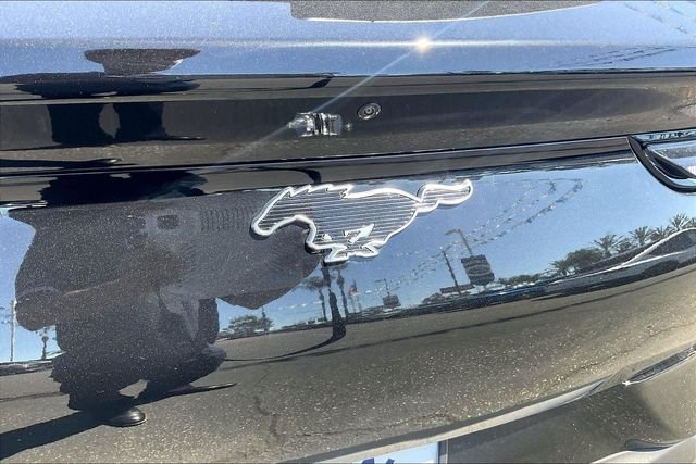 New 2026 Shadow Black Ford Premium image 12