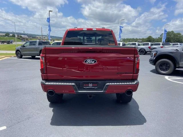 New 2026 Ruby Red Metallic Tinted Clearcoat Ford Black Widow image 2