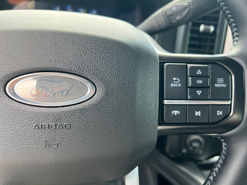 New 2026 White Ford Platinum image 38