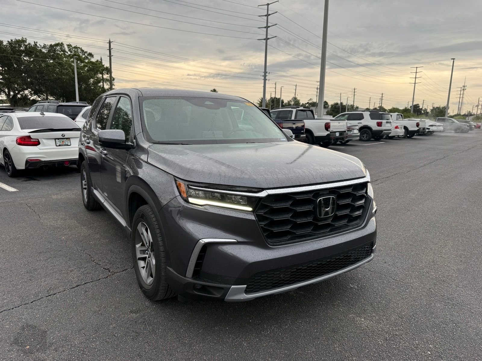 2025 Honda Pilot EX-L 2WD's photo