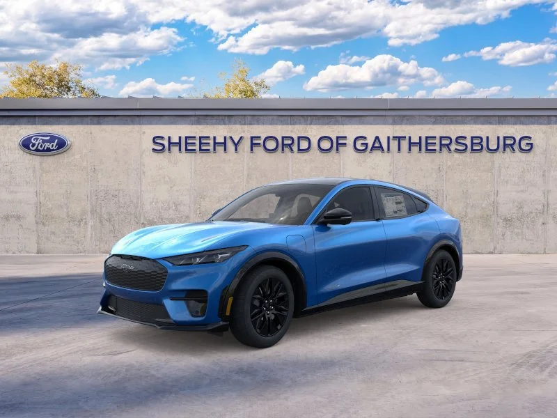 New 2026 Velocity Blue Metallic Ford Premium image 1