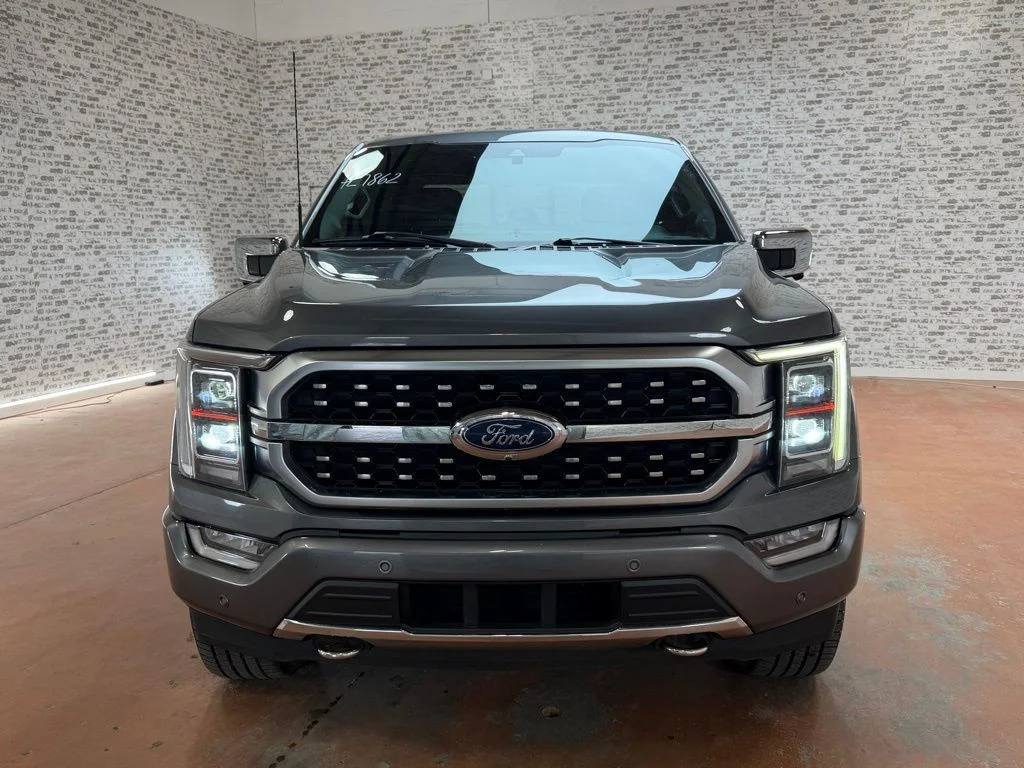 Used 2021 Gray Metallic Ford Platinum image 2