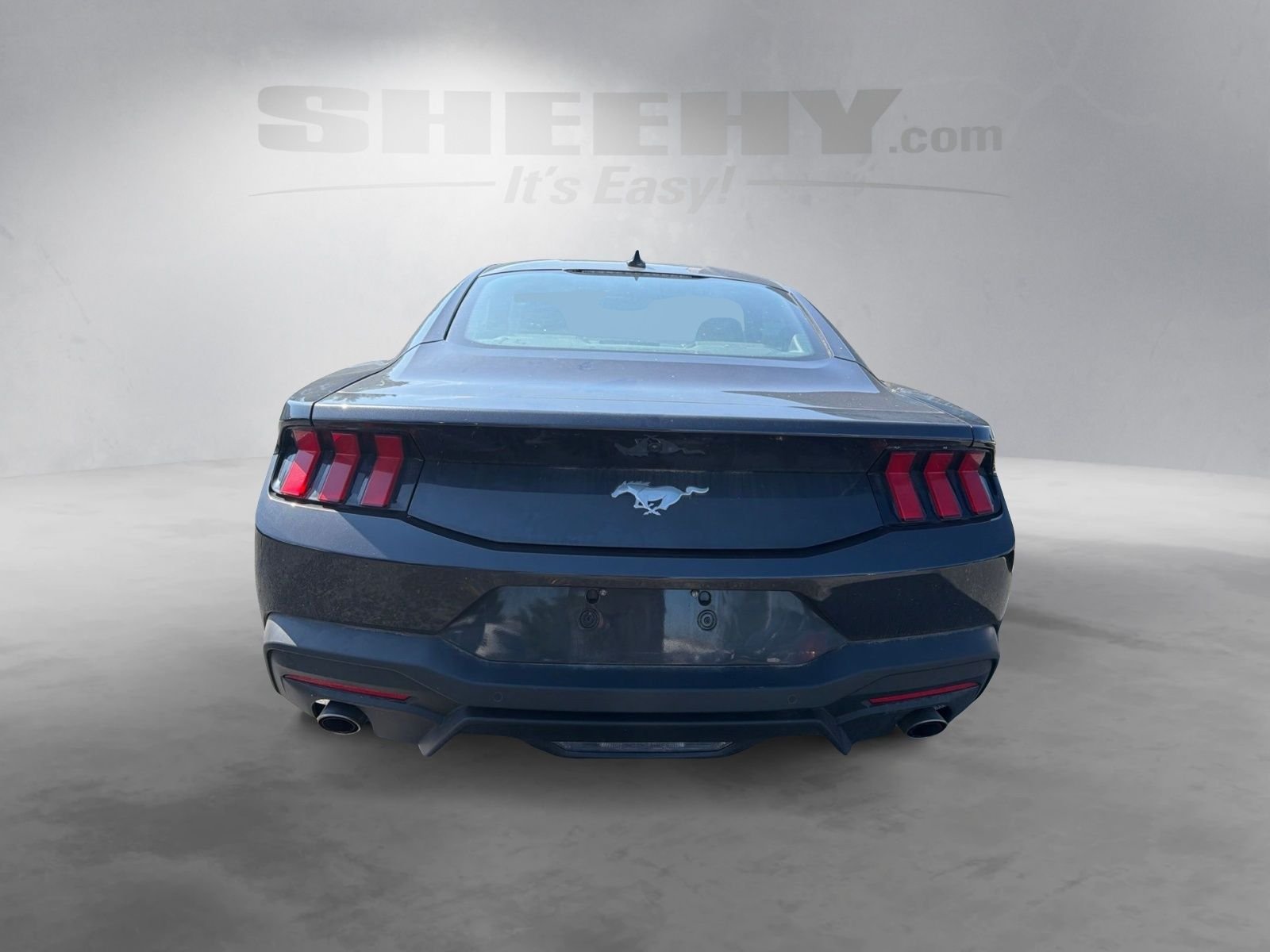 Used 2024 Gray Ford EcoBoost image 9