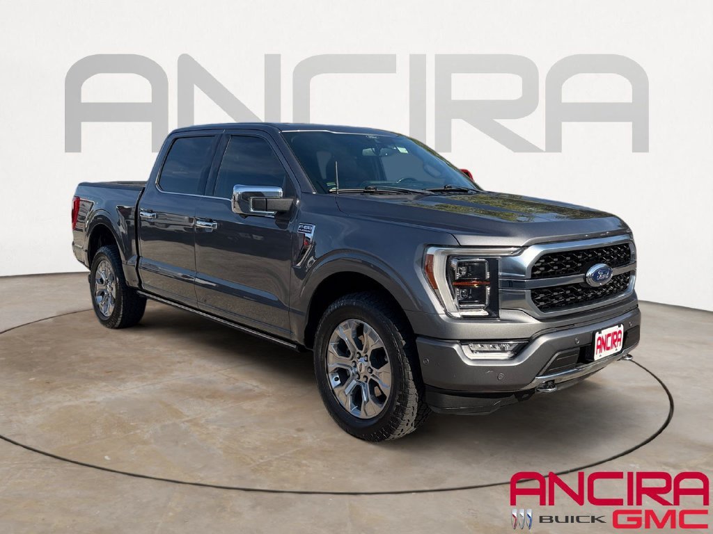 Used 2021 Gray Ford Platinum image 1