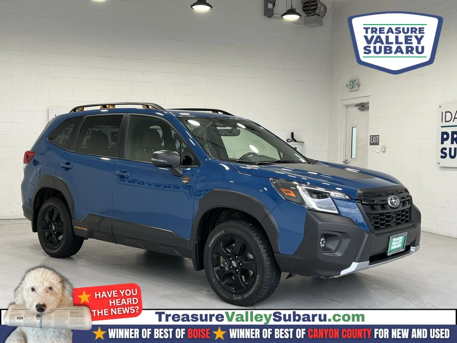 2022 Subaru Forester Wilderness's photo