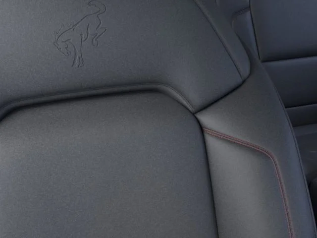 2025 Ford Bronco 2-Door Stroppe - Photo 18