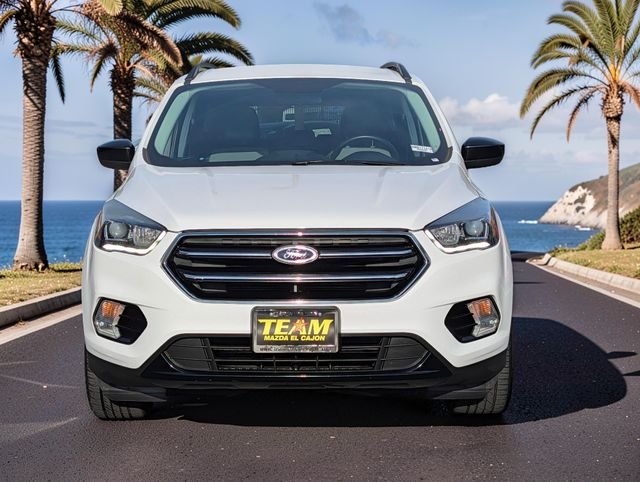 Used 2019 White Ford SE image 3