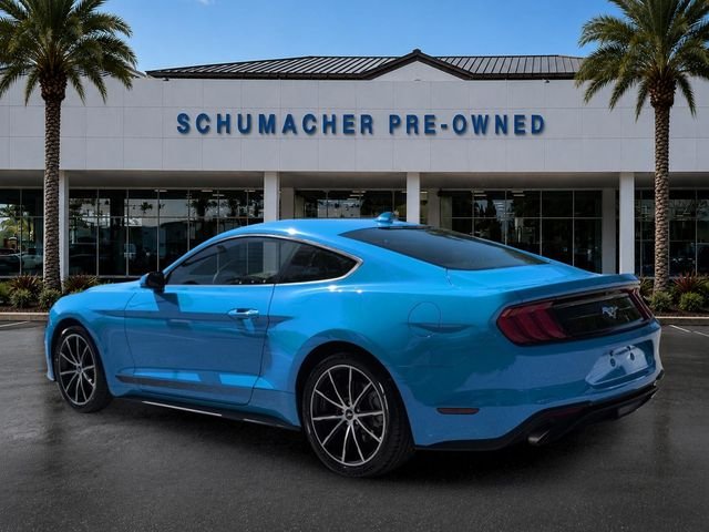 Used 2023 Grabber Blue Metallic Ford EcoBoost image 5