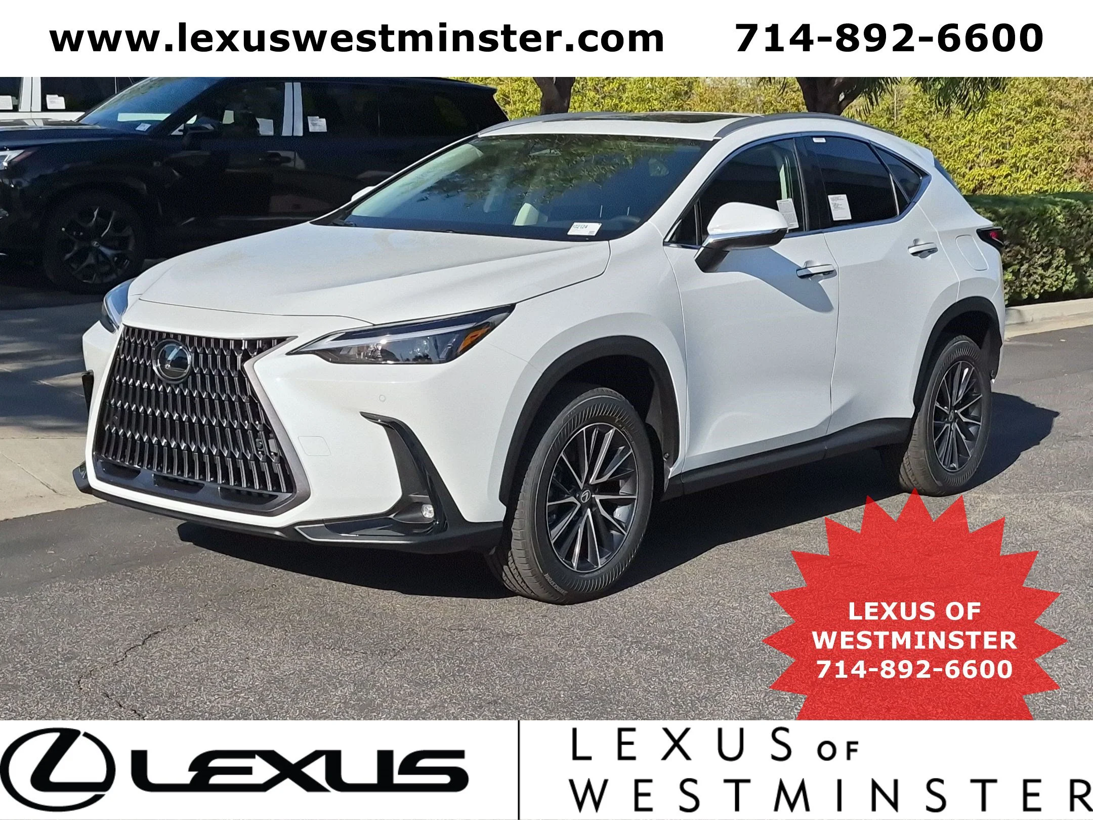 2026 Lexus NX  350 AWD