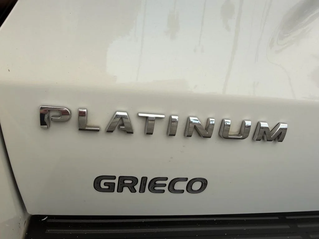 Used 2021 White Ford Platinum image 11