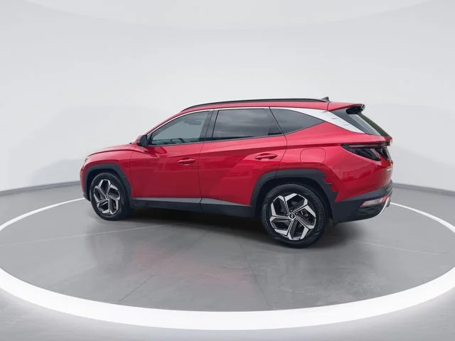 Used 2023 Red Hyundai Limited image 6