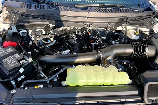 New 2026 White Ford Tremor image 10