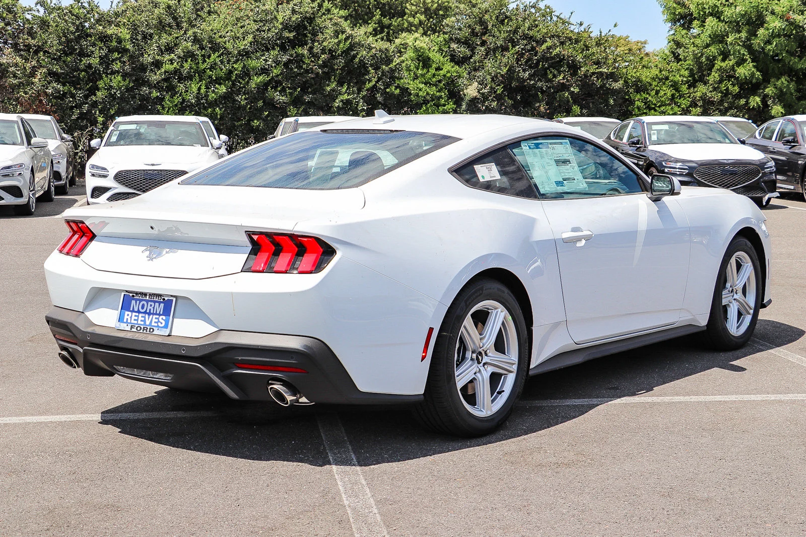 New 2026 Oxford White Ford EcoBoost® Fastback image 6