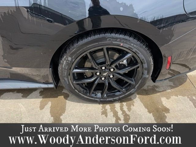 Used 2025 Shadow Black Ford EcoBoost image 4
