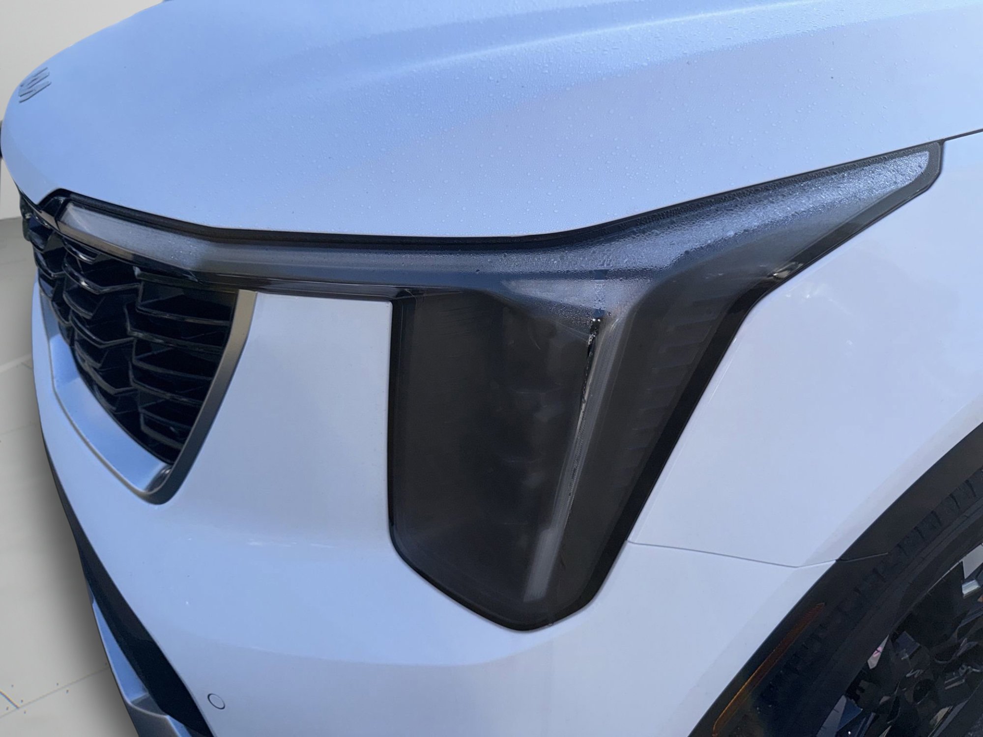 New 2026 Glacial White Pearl Kia S image 6