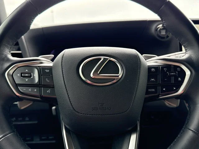 Used 2025 White Lexus 550 Overtrail+ image 21