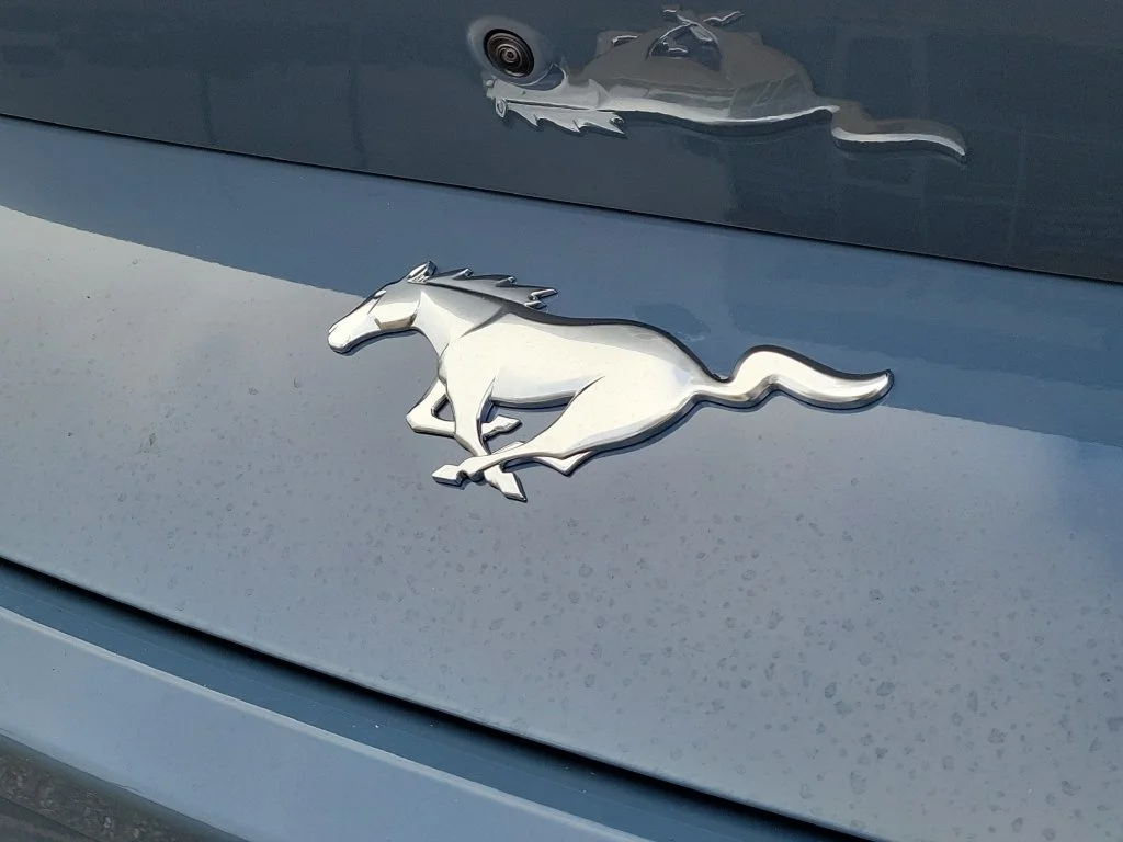 New 2026 Vapor Blue Metallic Ford EcoBoost® Premium Fastback image 6