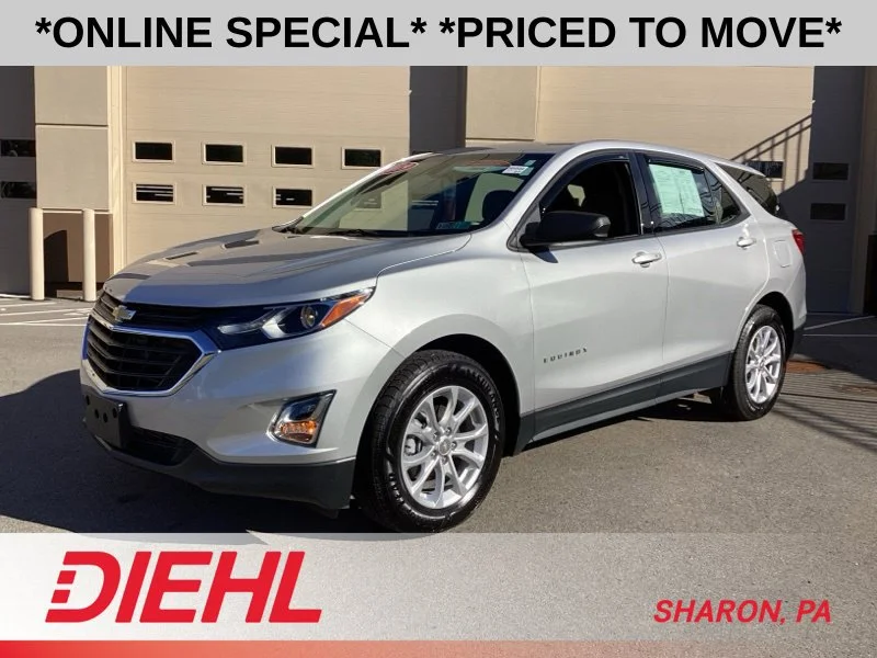 Used 2019 Silver Chevrolet LS image 4