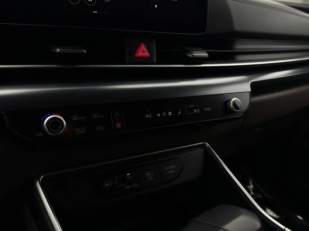 Used 2025 Panthera Metal Kia LXS image 19