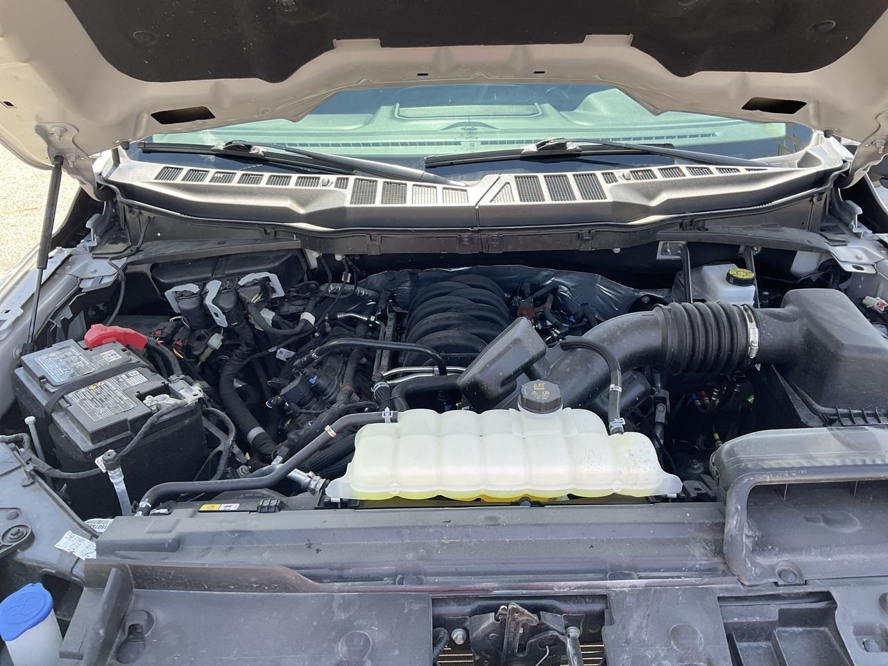 Used 2025 SILVER Ford Xlt image 24