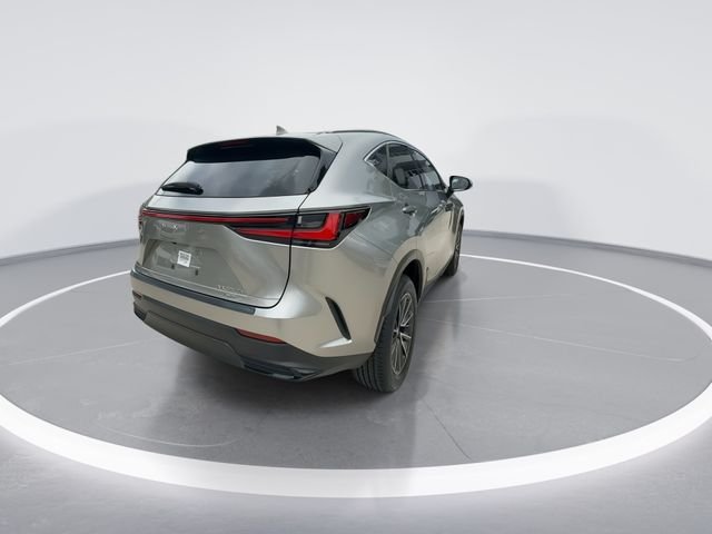 2024 Lexus NX Hybrid 350h - Photo 7