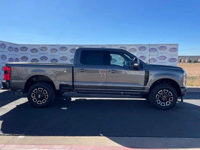 New 2026 Carbonized Gray Metallic Ford Platinum image 1