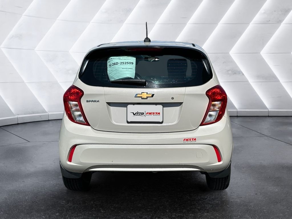 Used 2019 Beige Chevrolet LS image 5