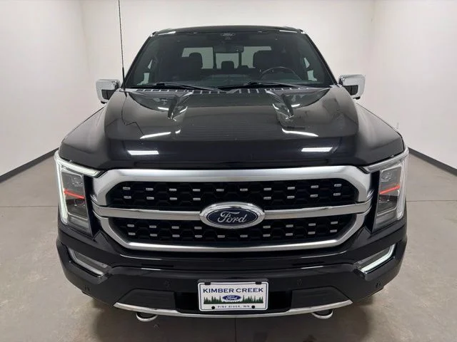 Used 2022 Ford F-150 Platinum with VIN 1FTFW1E80NFA49586 for sale in Pine River, Minnesota