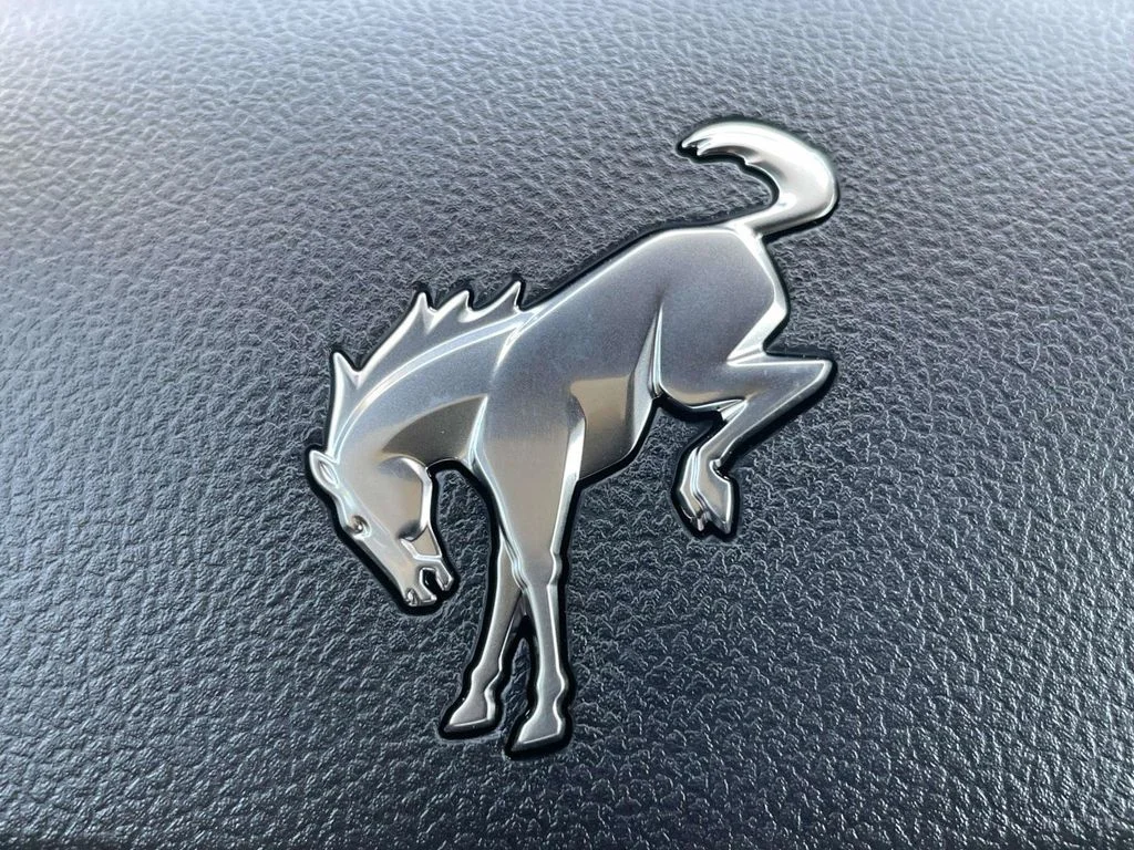New 2026 Gray Ford Heritage image 24