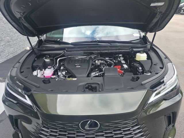 New 2026 Nori Green Pearl Lexus PREMIUM image 7