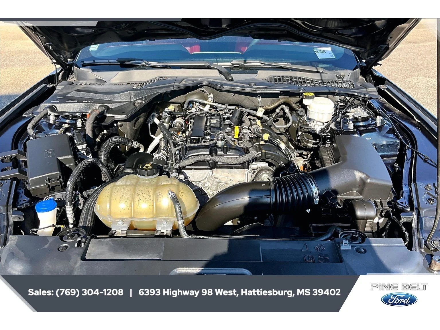 Used 2021 Antimatter Blue Metallic Ford EcoBoost Premium image 8