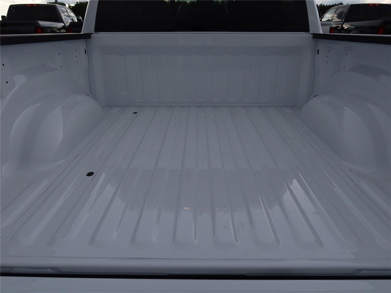 New 2026 Bright White Clear-Coat Exterior Paint RAM Express image 5