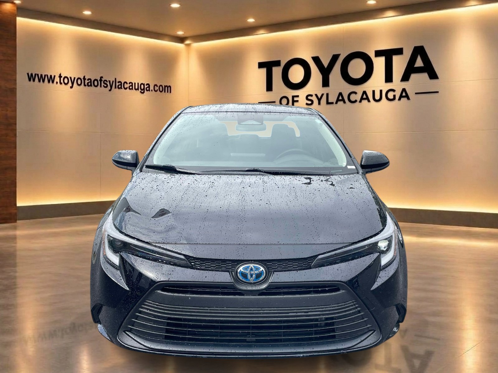 Used 2025 Midnight Black Metallic Toyota Hybrid LE image 6
