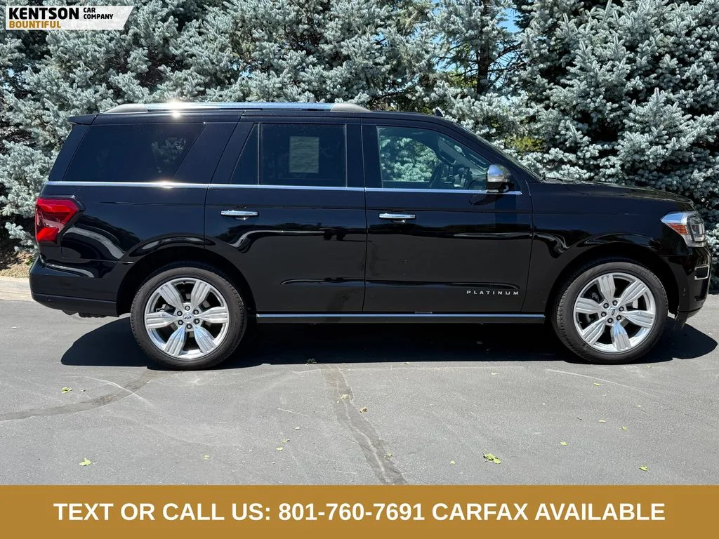 2024 Ford Expedition Platinum - Photo 9