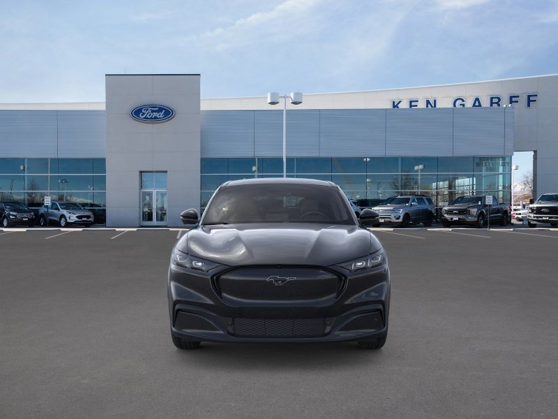 New 2026 Shadow Black Ford Premium image 7