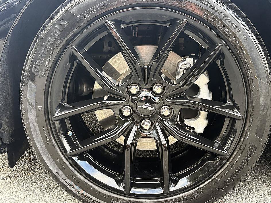 Used 2025 Shadow Black Ford EcoBoost Premium image 8