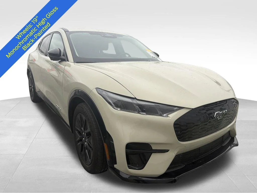Used 2025 Desert Sand Ford Premium image 8