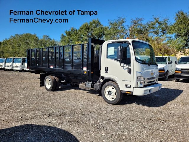 2025 Chevrolet Low Cab Forward 5500 HG MEDIUM ASH GRAY