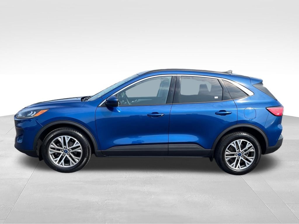 Used 2022 Blue Ford SEL image 2