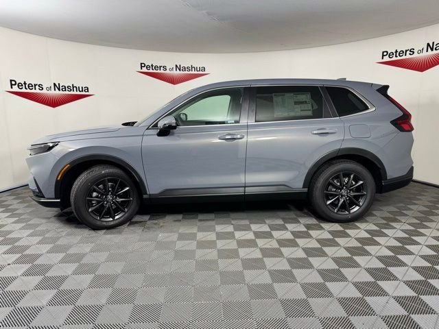 New 2026 Urban Gray Pearl Honda EX-L image 4
