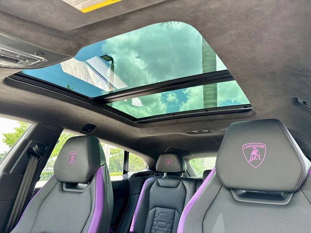 New 2026 Viola Nebula Matt Lamborghini SE image 10