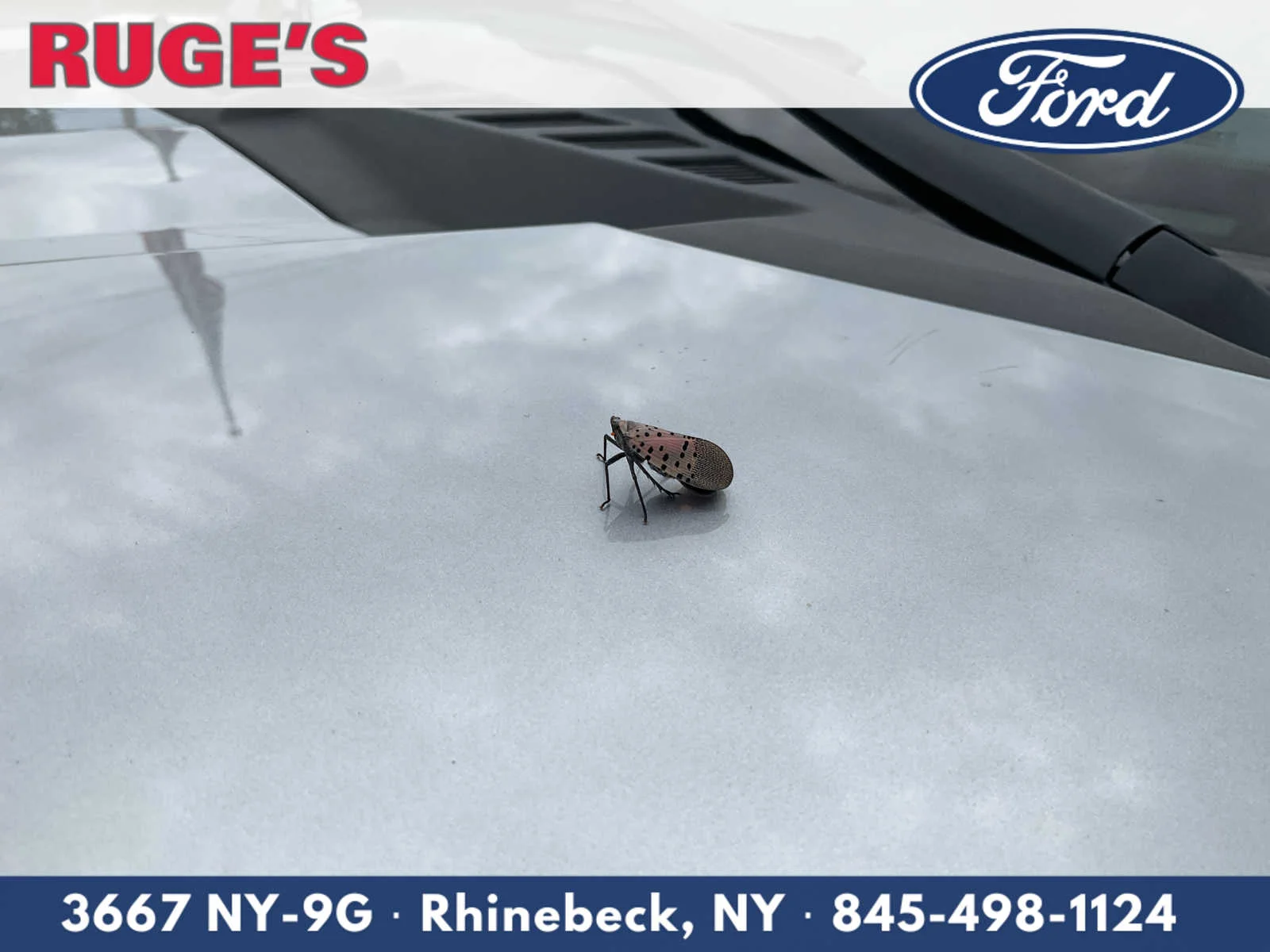Used 2022 Iconic Silver Ford XLT image 8