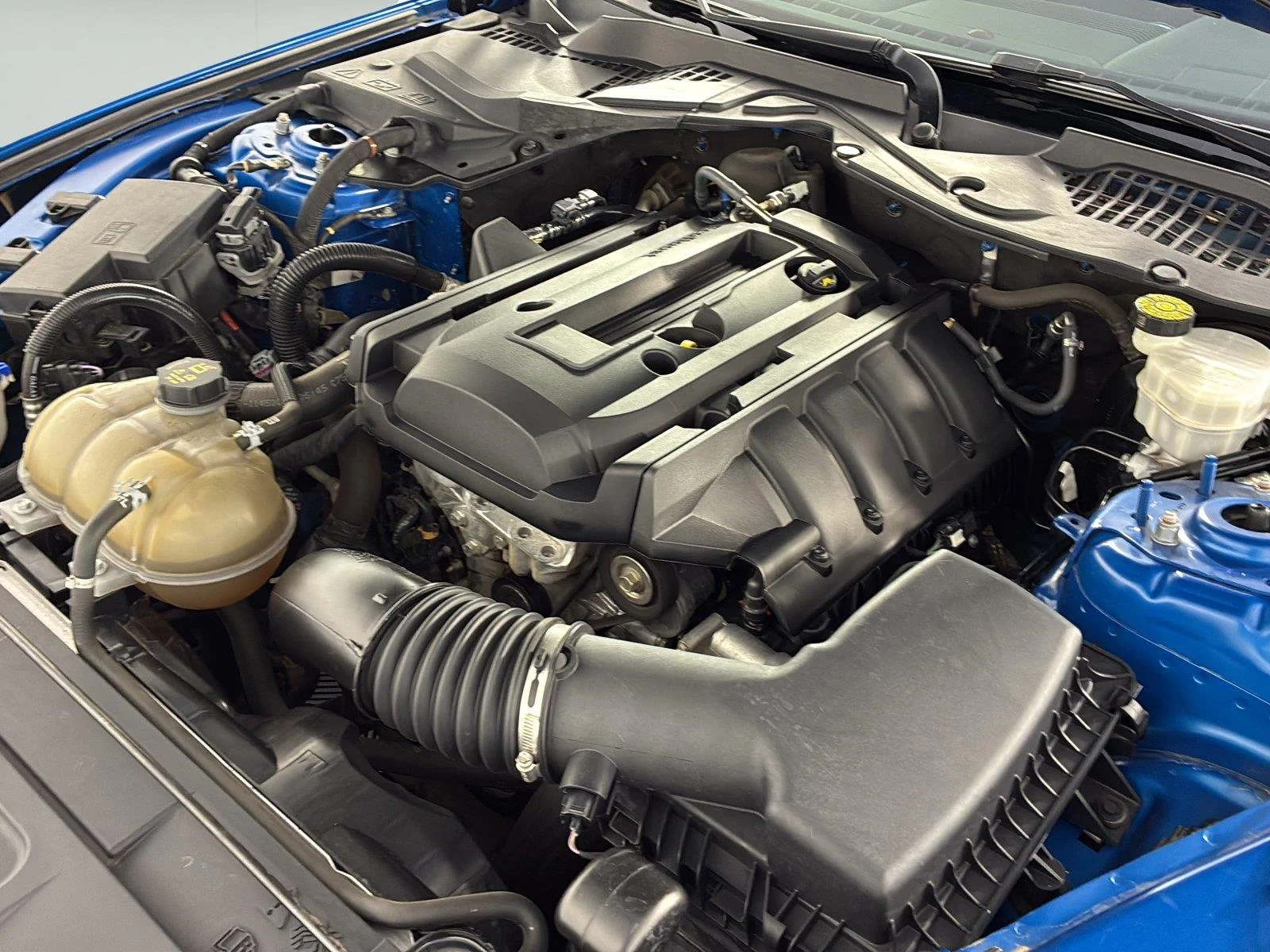 Used 2020 Velocity Blue Ford EcoBoost image 11