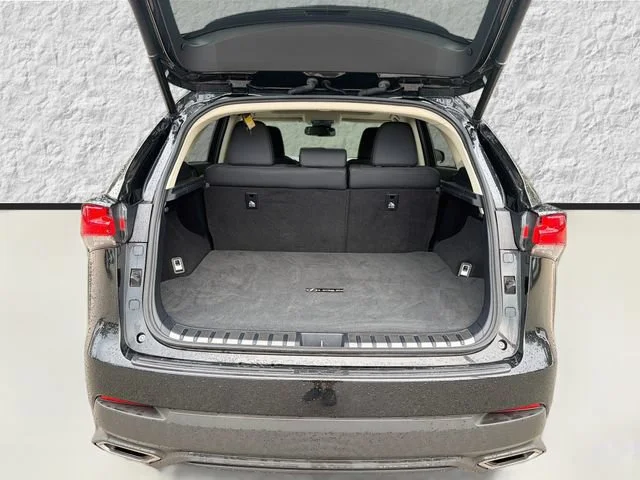 Used 2020 Caviar Lexus NX 300 image 12