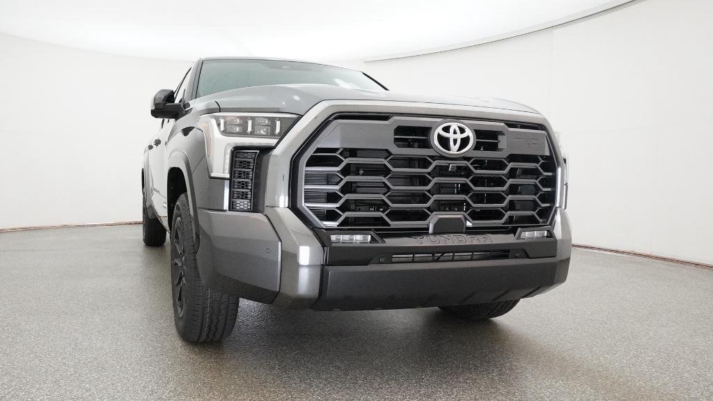 New 2026 Magnetic Gray Metallic Toyota Platinum image 5